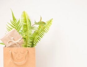 Best gifts for vegans