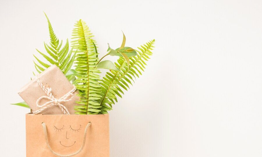 Best gifts for vegans