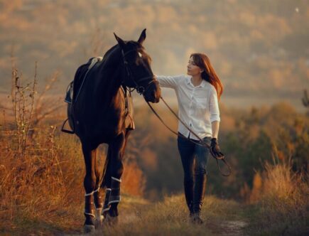 Factors to consider when choosing horse gifts for girls