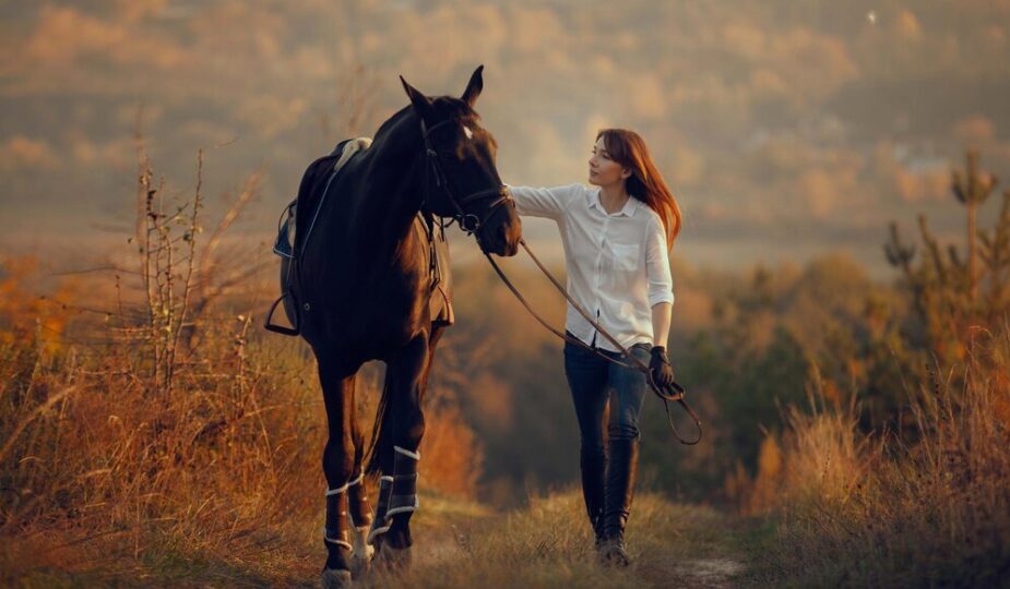 Factors to consider when choosing horse gifts for girls