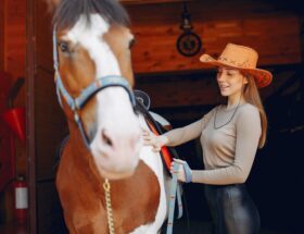 Gifts for horse lovers