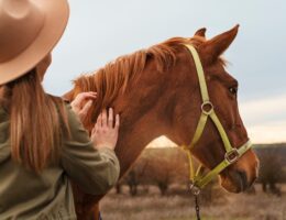 Horse gifts for adults