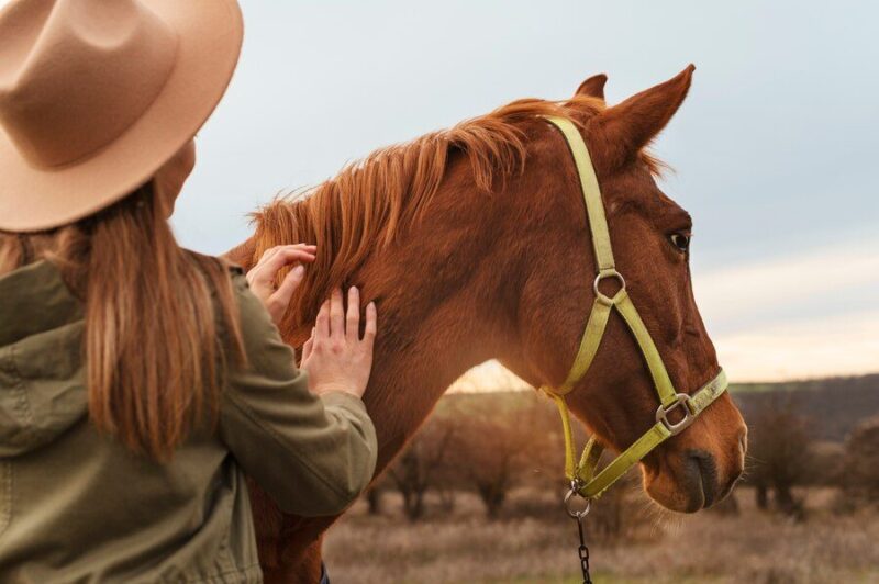 Places to find gifts for horse lovers