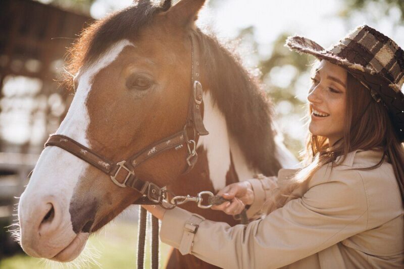 Unique gift ideas for horse lovers