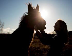 Horse lover Christmas gifts