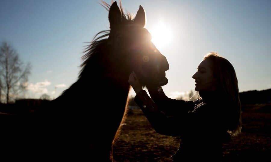 Horse lover Christmas gifts