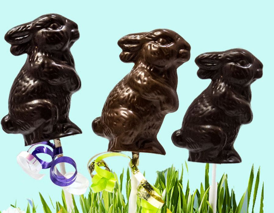 Chocolate Bunny Pops