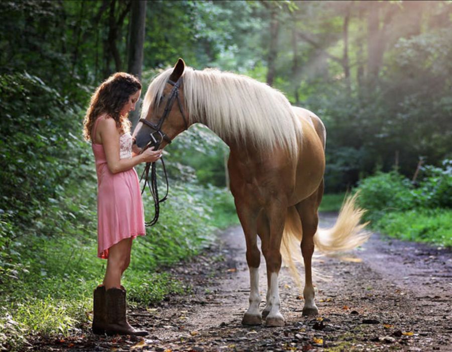 How to Present Your Horse Gifts For Girls to Make the Most Out of The Gift