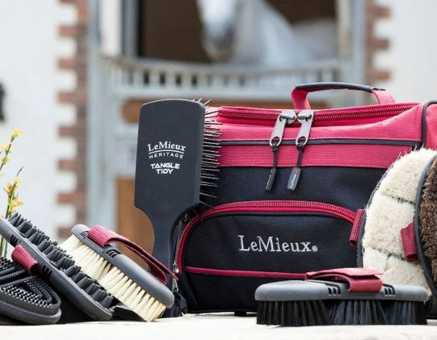 Deluxe Grooming Kit for Your Horse