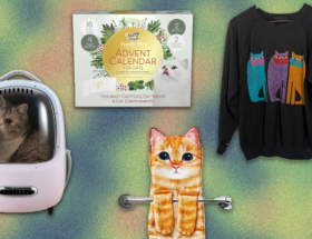  Gifts for cat lovers